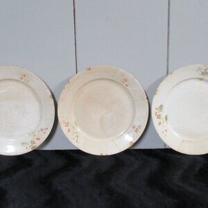 Vintage Antique 3 pcs. Dinner Plates by Thompson **Flawed**